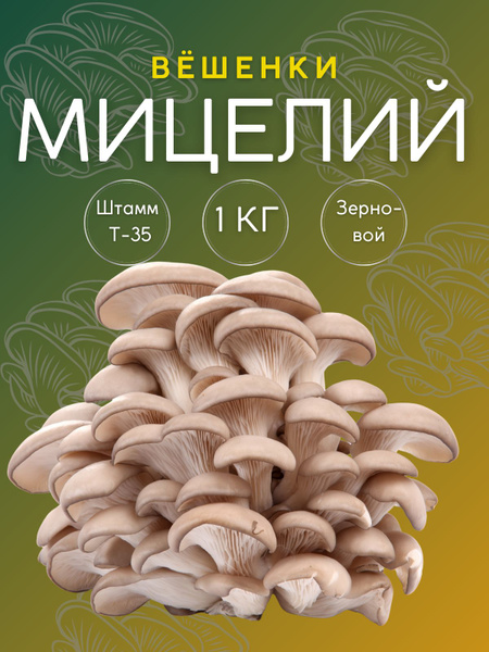 Мицелий Вешенки. Грибница. - купить по выгодным ценам в интернет ...