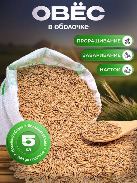 Овес в оболочке 5 кг - купить с доставкой по выгодным ценам в интернет ...