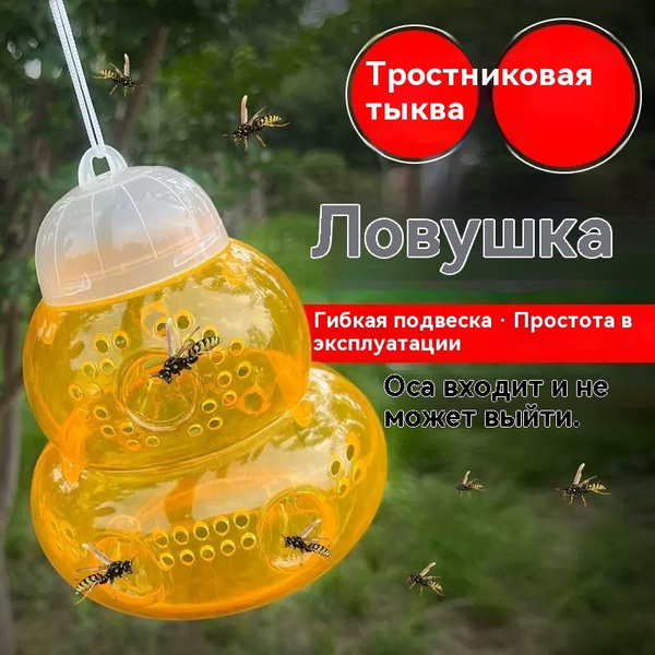 Ловушки для ос и осоедок/сады, отловщики - купить с доставкой по ...