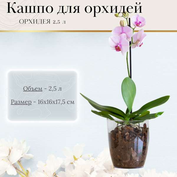 Горшок для цветов Кашпо под орхидеи пластиковое Прозрачный вазон 2,5 л ...