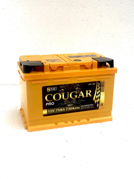 Аккумулятор автомобильный COUGAR L2.560 060.1 купить по выгодной цене в ...