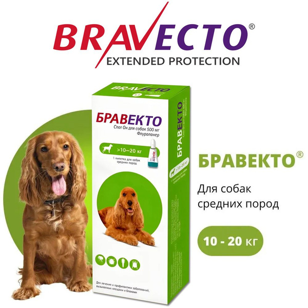 Капли BRAVECTO подходят для собак весом от 10 до 20 кг, До 10.2025 ...