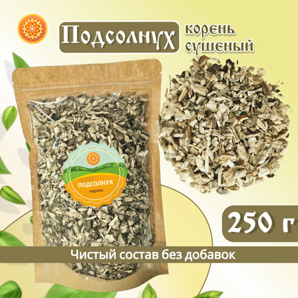 Корень Подсолнуха Купить