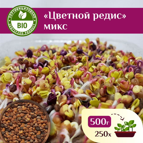 Микс семян Цветной редис для проростков и микрозелени, Ильинские ...