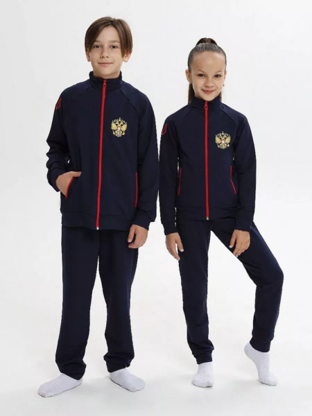 Костюм спортивный WILDWINS купить на OZON по низкой цене (858650569)