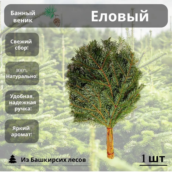 Веник для бани еловый - купить с доставкой по выгодным ценам в интернет ...