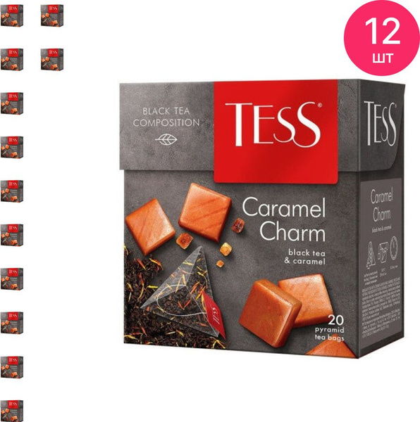 Чай в пирамидках Tess / Тесс Caramel Charm черный байховый с ароматом и ...