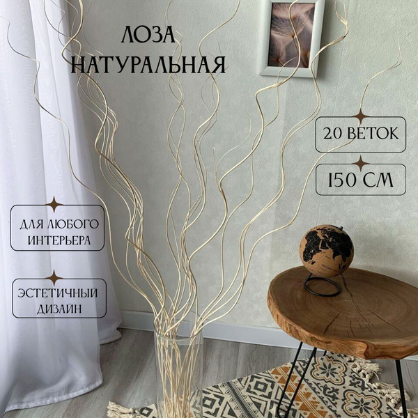 Лоза натуральная букет 20 штук высота 150 см белые сухоцветы купить на ...