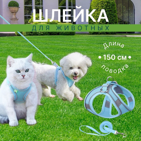Шлейка для котят, кошек и собак мелких пород, обхват груди 23-32 ...