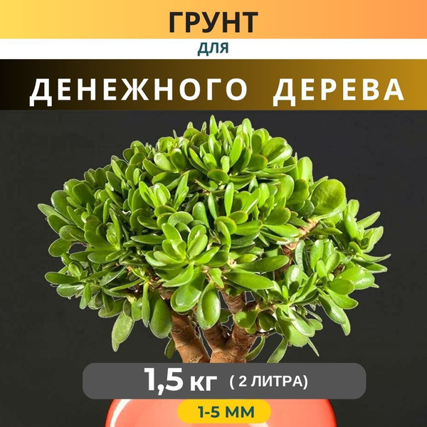 1500 гр (2 литра) ГРУНТ для ДЕНЕЖНОГО ДЕРЕВА / фракция 1-5мм - купить ...
