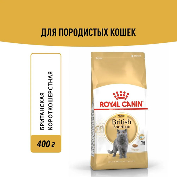 Royal Canin Maine Coon 2 Кг Купить