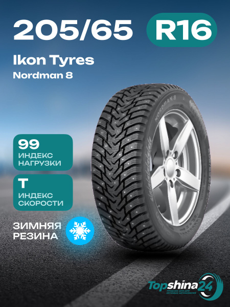 Шины для легковых автомобилей Ikon Tyres 205/65 16 Зима Шипованные ...