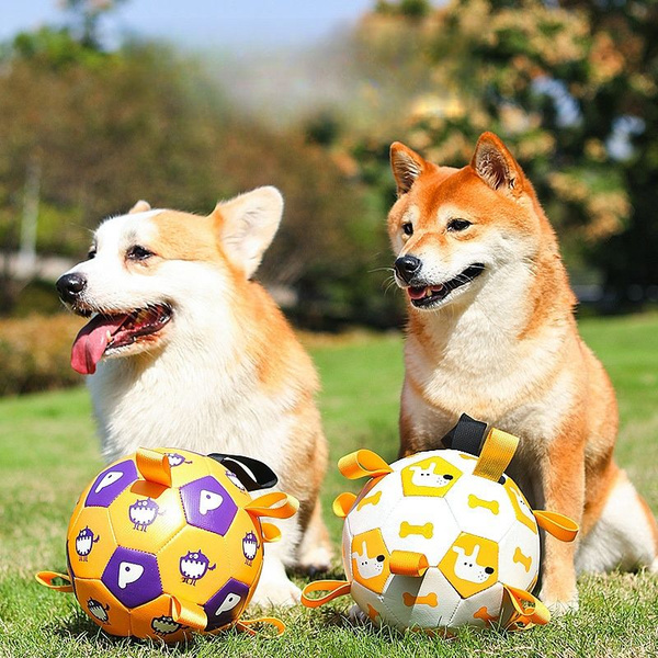 Мяч для собак, для собак мелких пород, средних пород, мяч с захватами ...