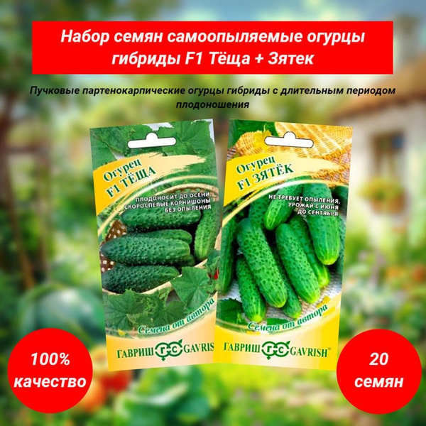 Огурцы Гавриш Огурец F1 - купить по выгодным ценам в интернет-магазине ...