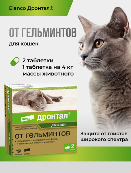 Дронтал для кошек, 2 табл. купить на OZON по низкой цене (1722168495)