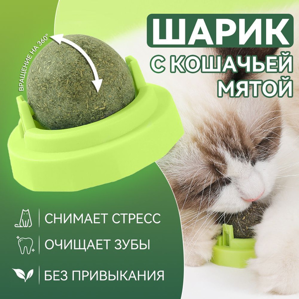 Кошачья мята/Шарик с кошачьей мятой на стену/игрушки для кошек ...