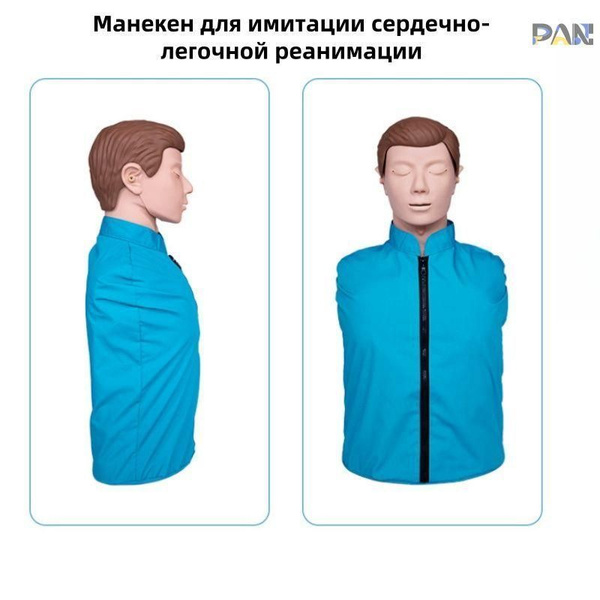 Модель Обучения Сердечно-легочной Реанимации, Манекен Для Обучения ...