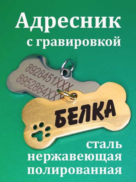 Адресник с гравировкой для собаки купить на OZON по низкой цене ...