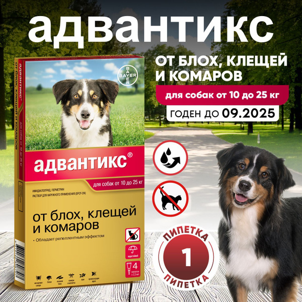 Капли для собак Адвантикс 1 пипетка без упаковки. для собак весом от 10 ...