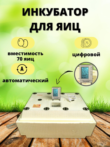 Автоматический инкубатор Золушка 2020 на 70 яиц 220В купить на OZON по ...