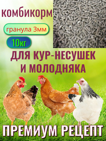 Комбикорм для кур-несушек (несушка продуктивная). Улучшение ...