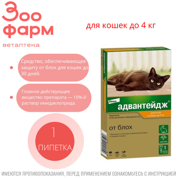 Адвантейдж для кошек до 4 кг, 1 пипетка купить на OZON по низкой цене ...