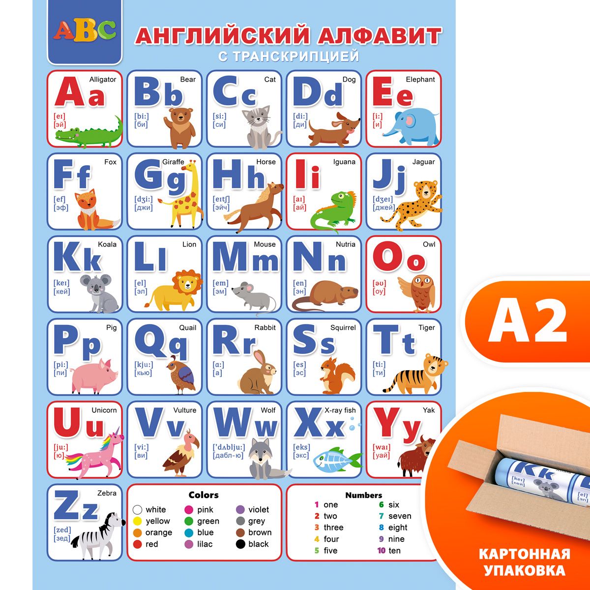 Плакат обучающий английский алфавит с транскрипцией