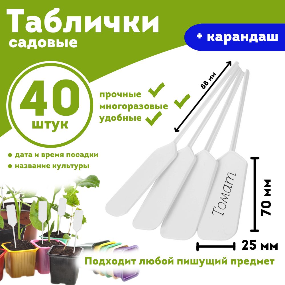 Купить Садовую Рассаду