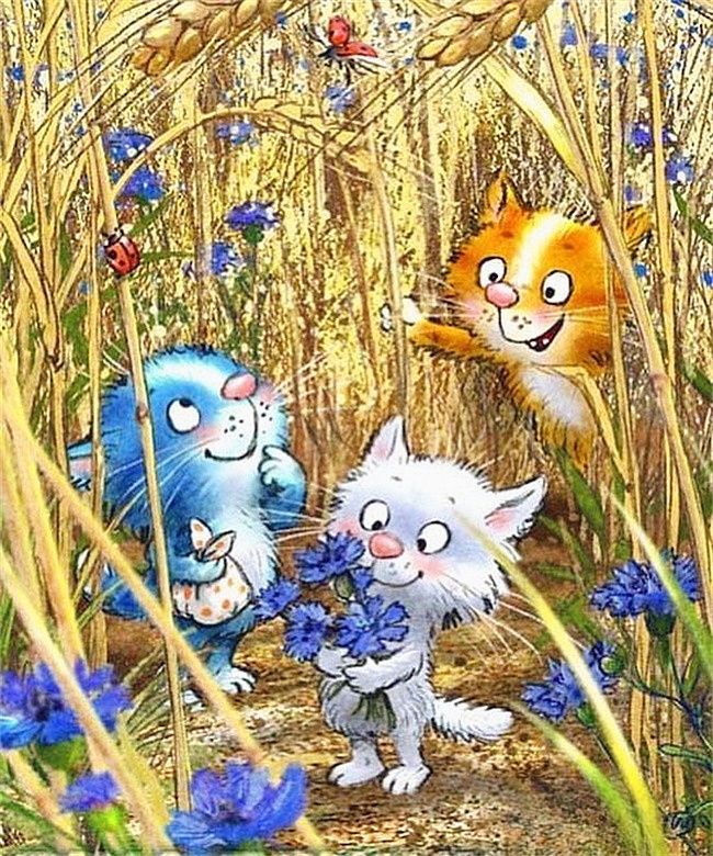 Синие котики