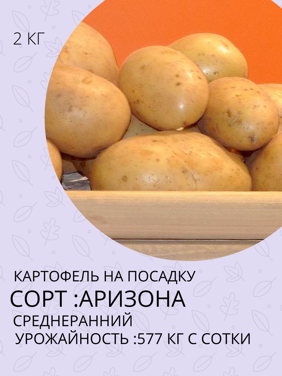 Купить Семенной Картофель В Ростовской Области