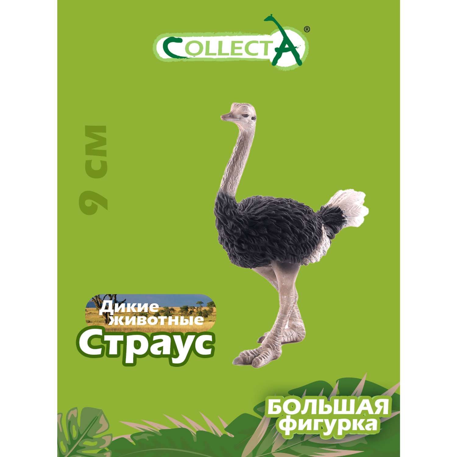 Где Можно Купить Страуса В Беларуси