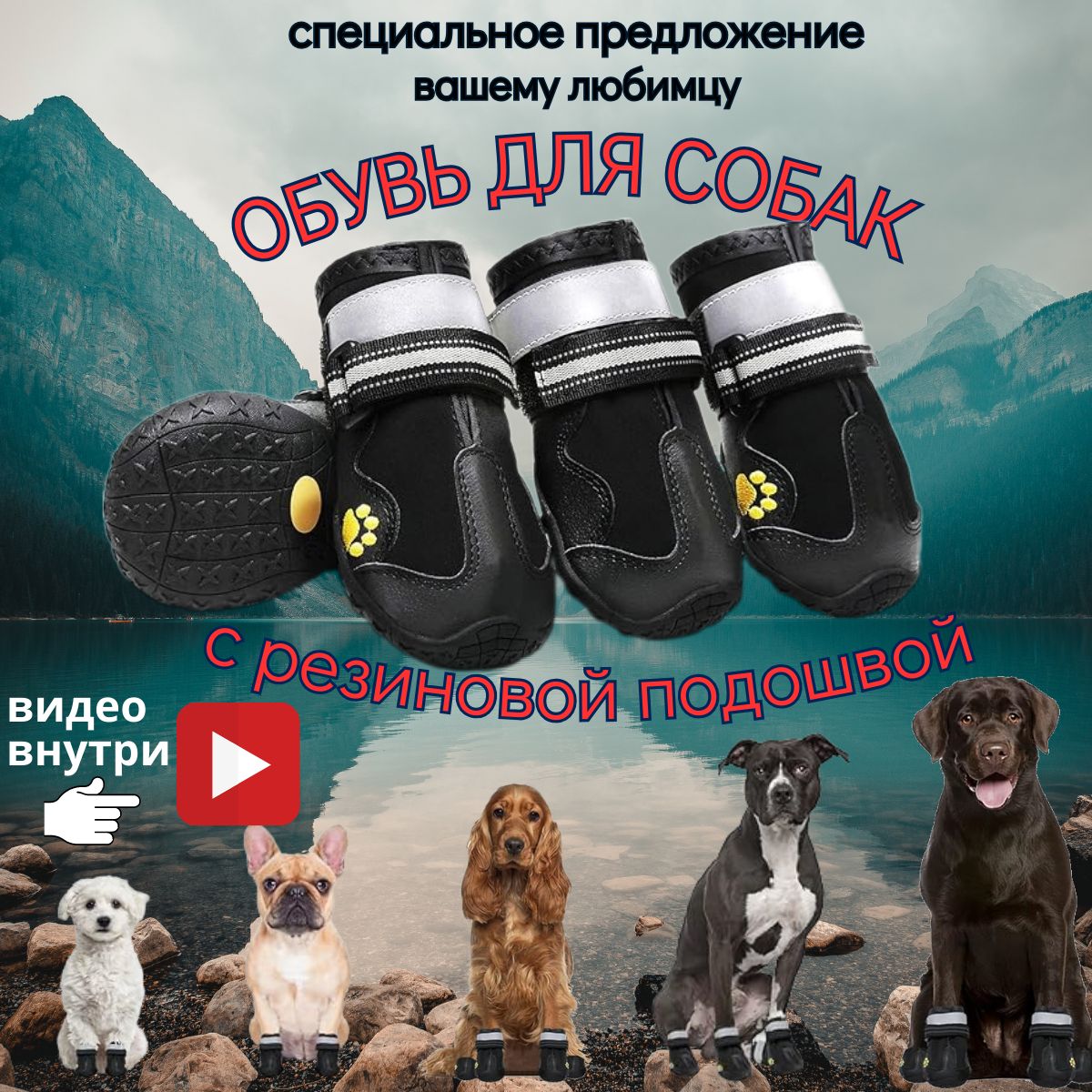 НоскидляСобакЙорк