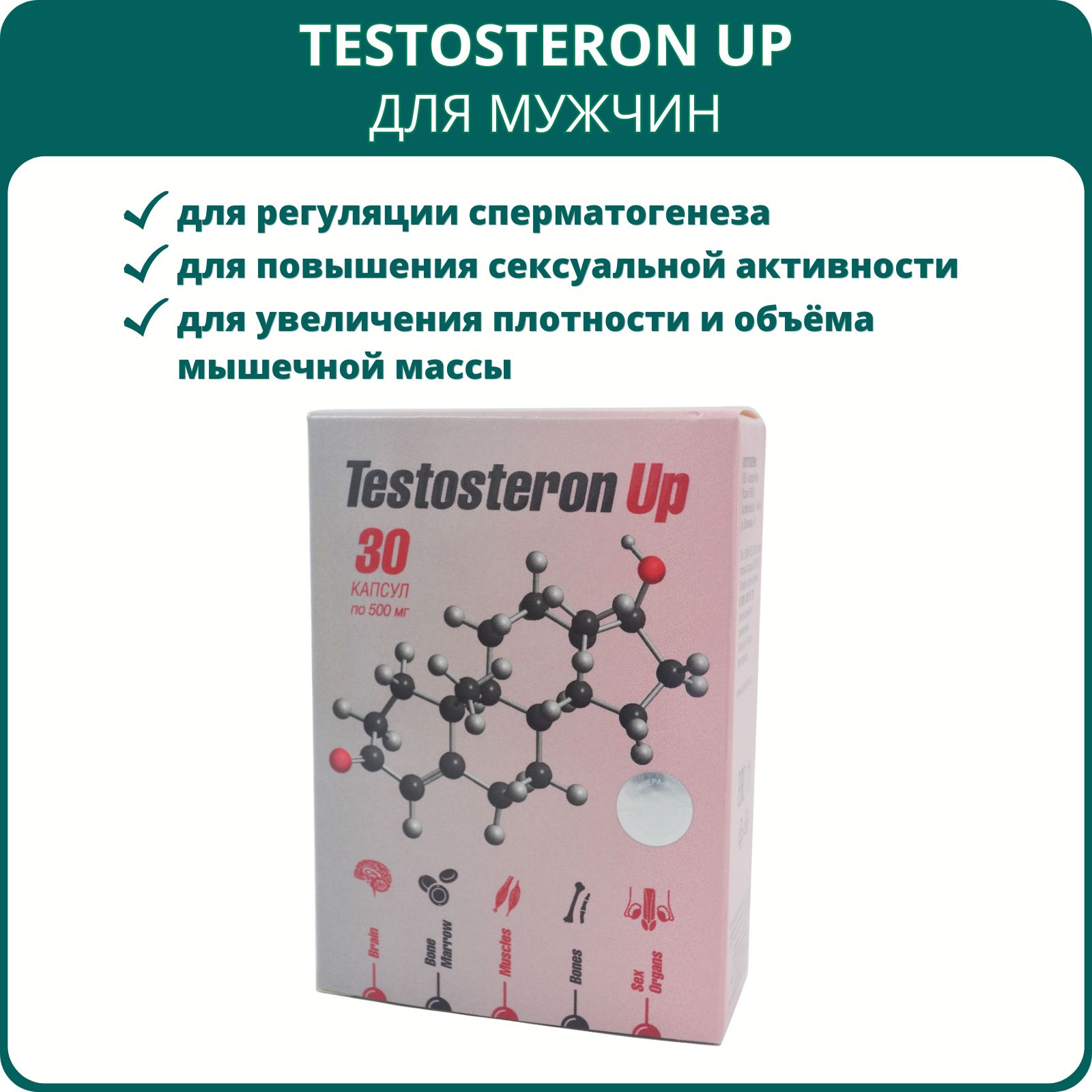 Testosteron Up для мужчин, 30 капсул. Препарат от Сашера-Мед для регуляции  мужских гормонов и уровня тестостерона, при бесплодии, для настроения и  работоспособности - купить с доставкой по выгодным ценам в  интернет-магазине OZON (