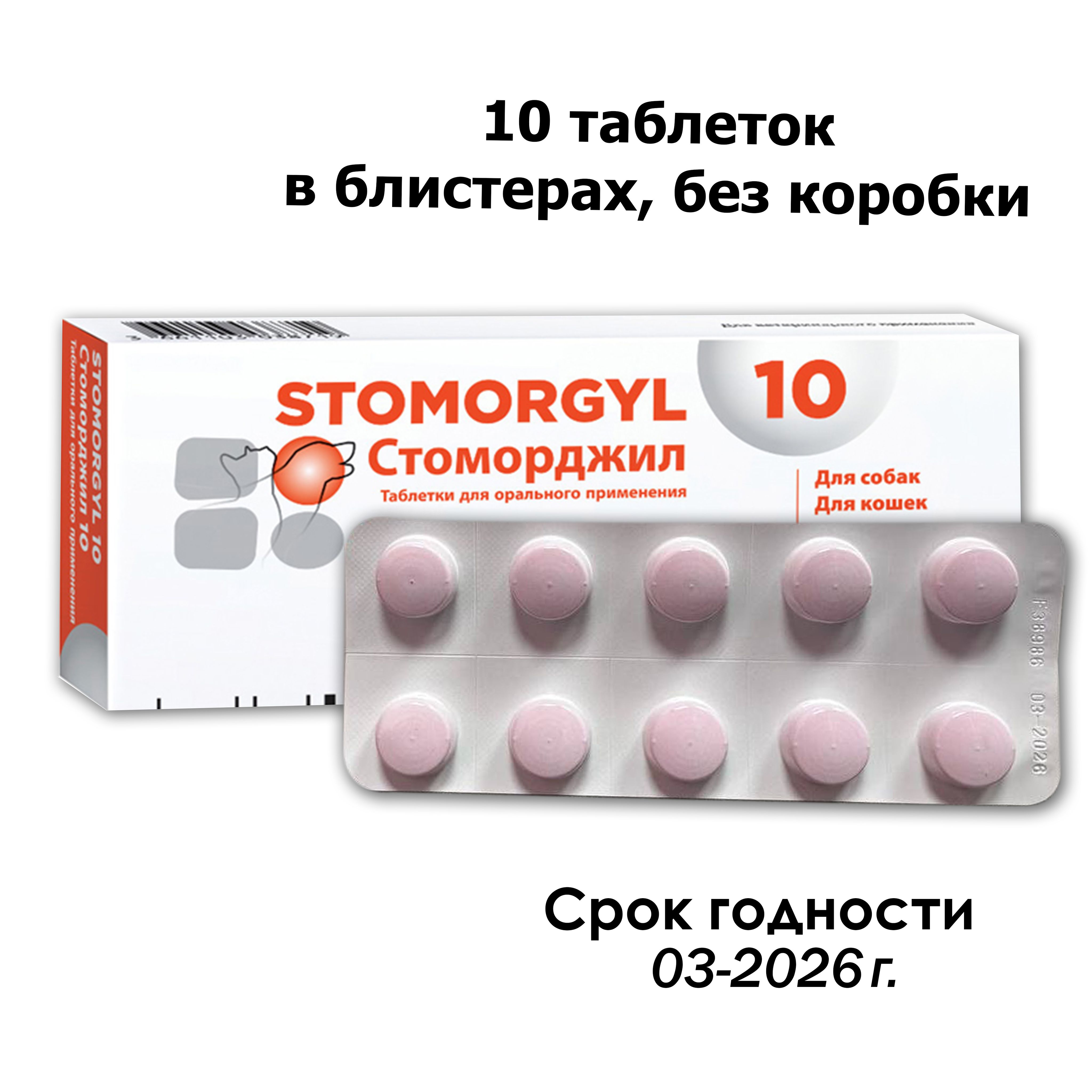 Стоморджил для собак и кошек, для лечения инфекций, 10мг, 10 таблеток -  купить с доставкой по выгодным ценам в интернет-магазине OZON (1480945424)