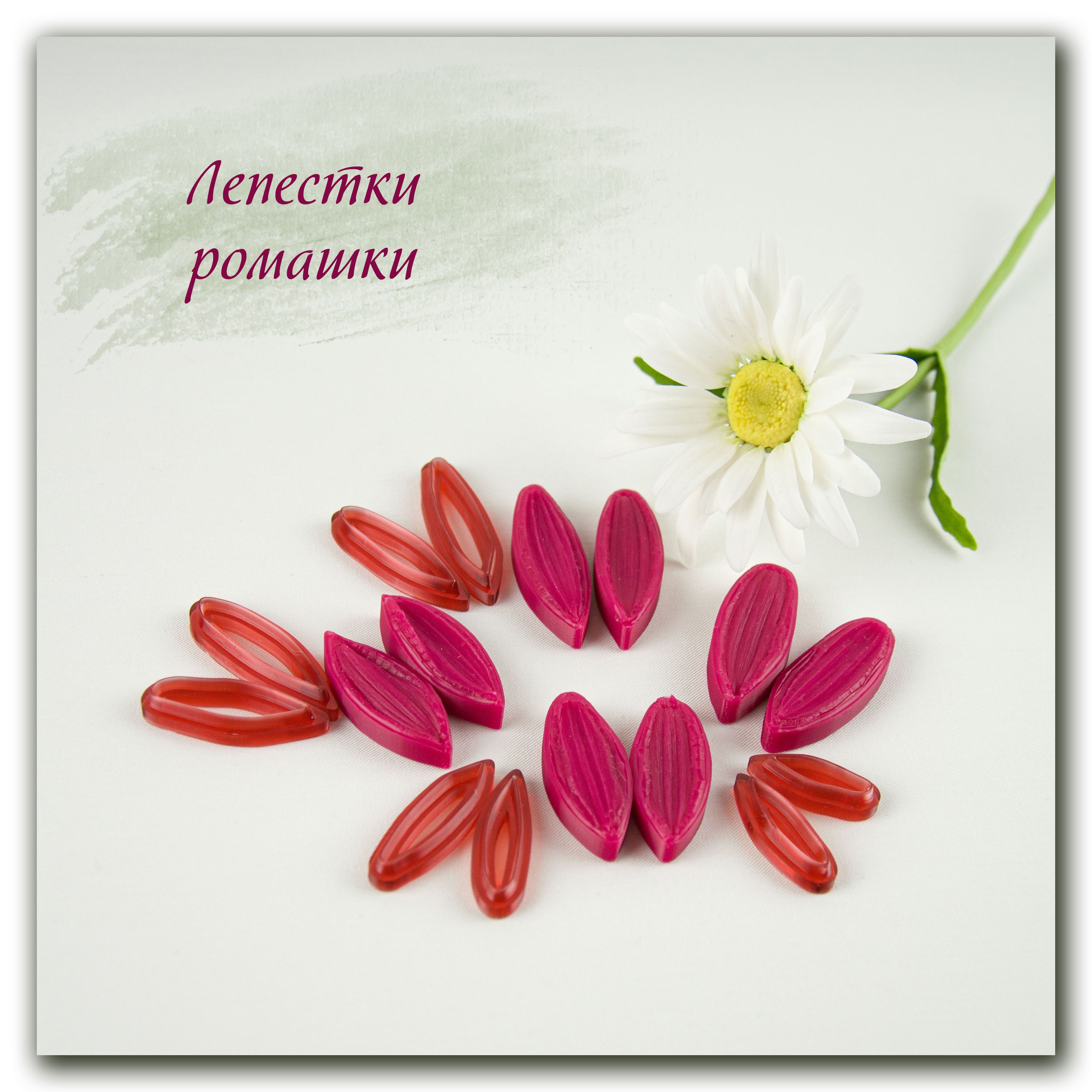 Лепесток от ромашки