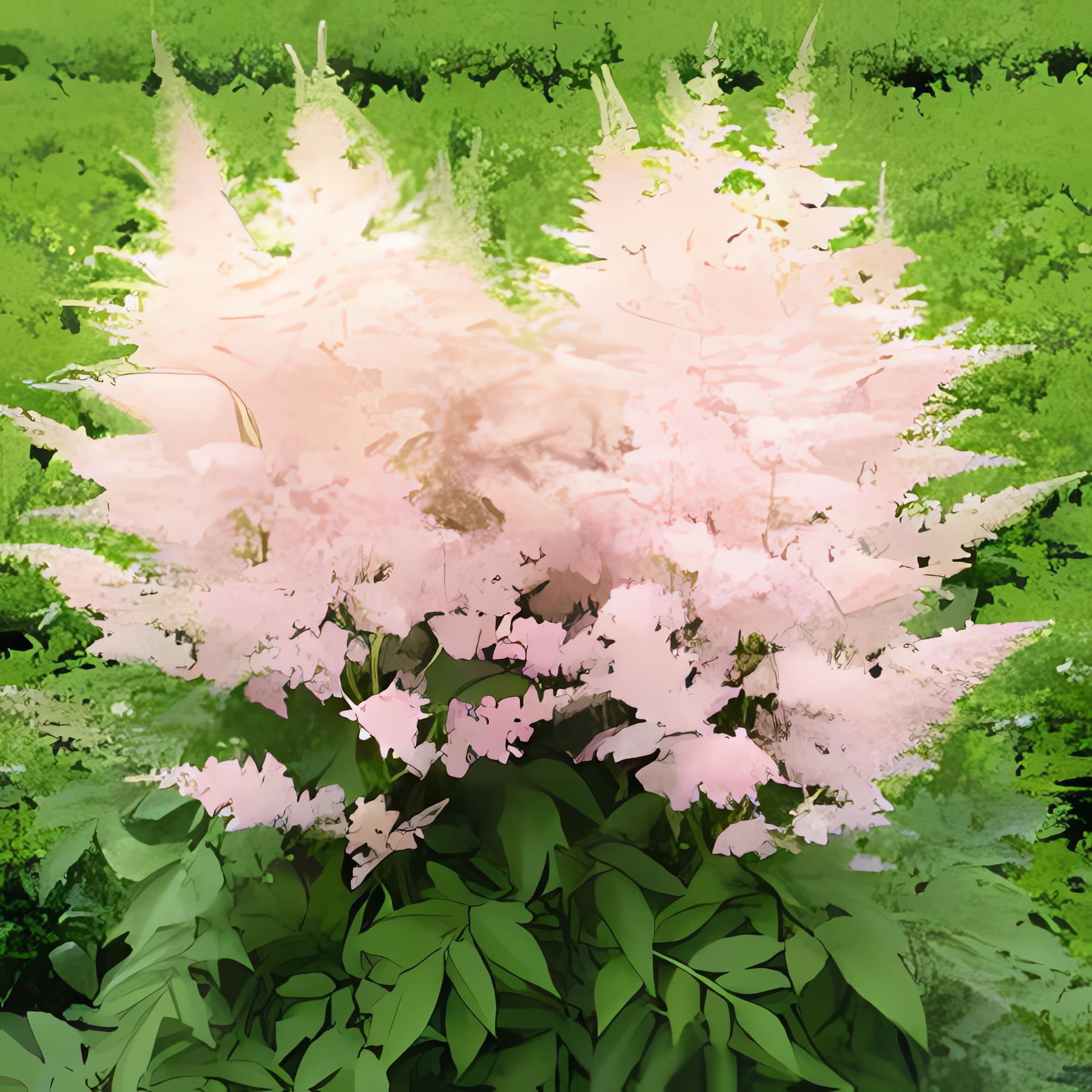 Астильба розовая фото Рассада Астильба Арендса Fireworks Pink, С1 (1 литр) ЗКС - купить с доставкой по
