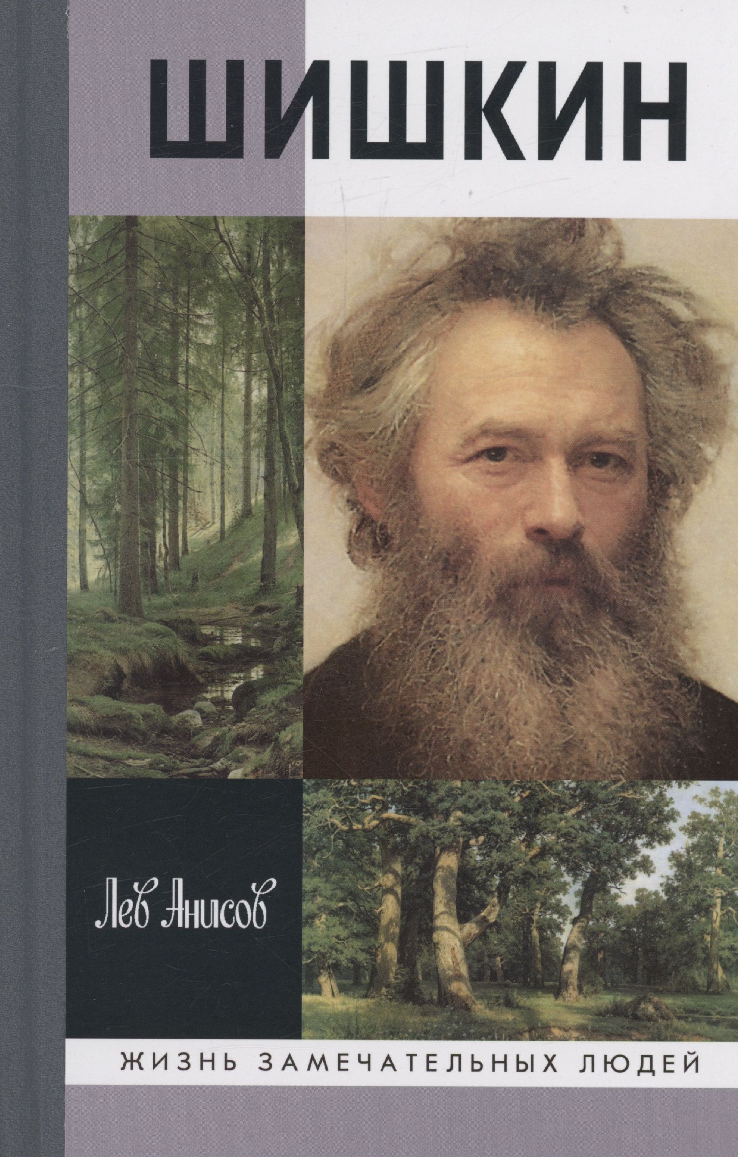 Шишкин Белый Город Купить Книгу
