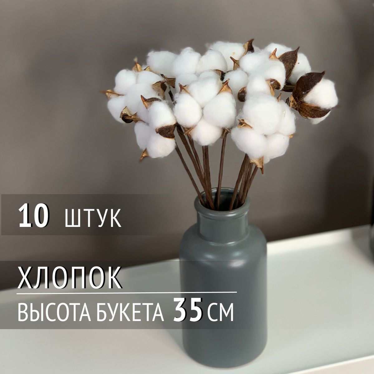 Хлопок сухоцвет AM HOME DECOR 10 шт 35 см