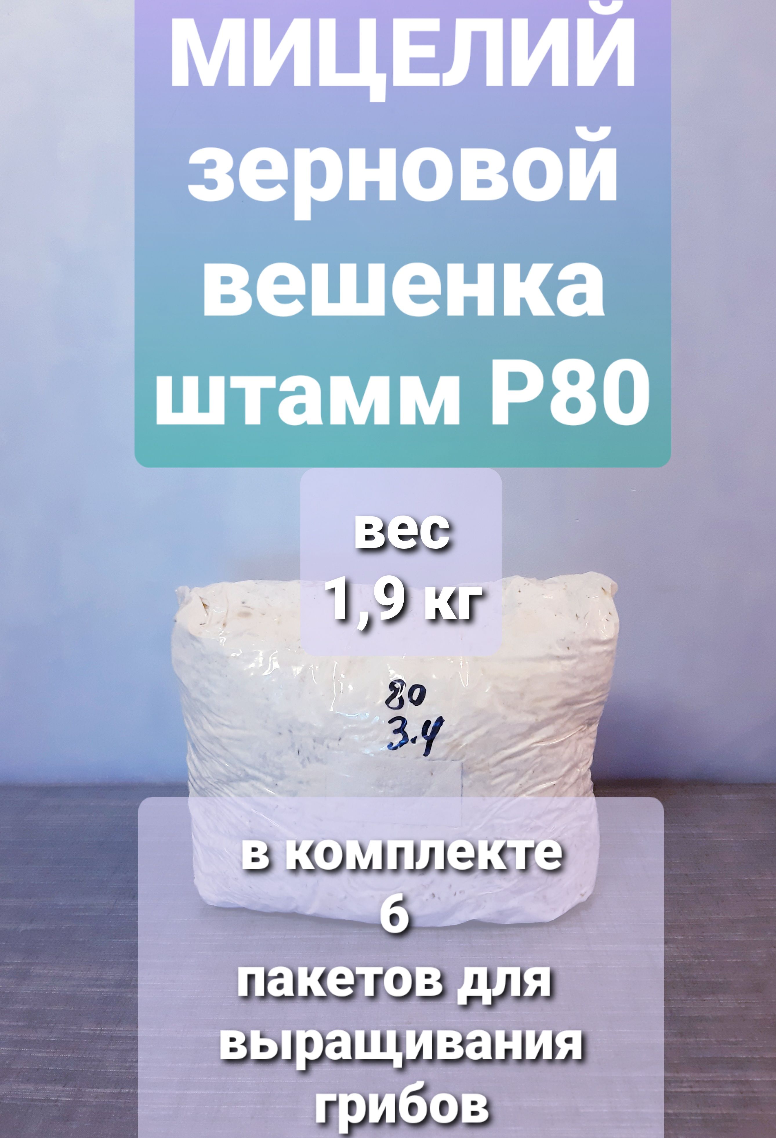 Мицелий зерновой гриб ВЕШЕНКА, штамм Р80, 1,9 кг. Пакеты для выращивания грибов в комплекте