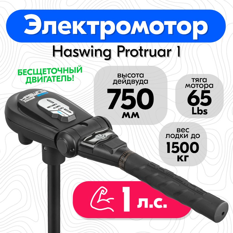 ЛодочныйэлектромоторHaswingProtruar1.0,дейдвуд75см.