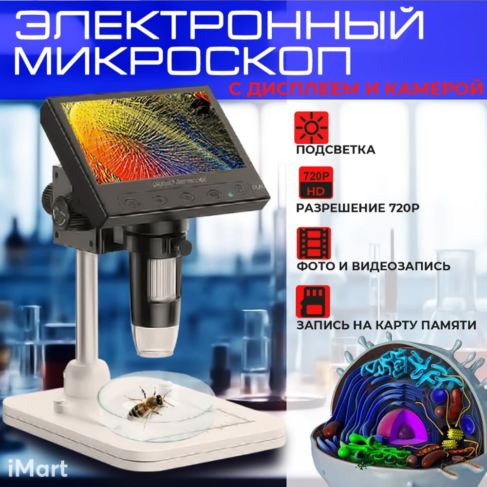 Микроскоп Ask Gecko Беспроводной цифровой USB с камерой. Электронный с  подсветкой. Школьный микроскоп. Черный, Цифровой купить по выгодной цене в  интернет-магазине OZON (841370201)