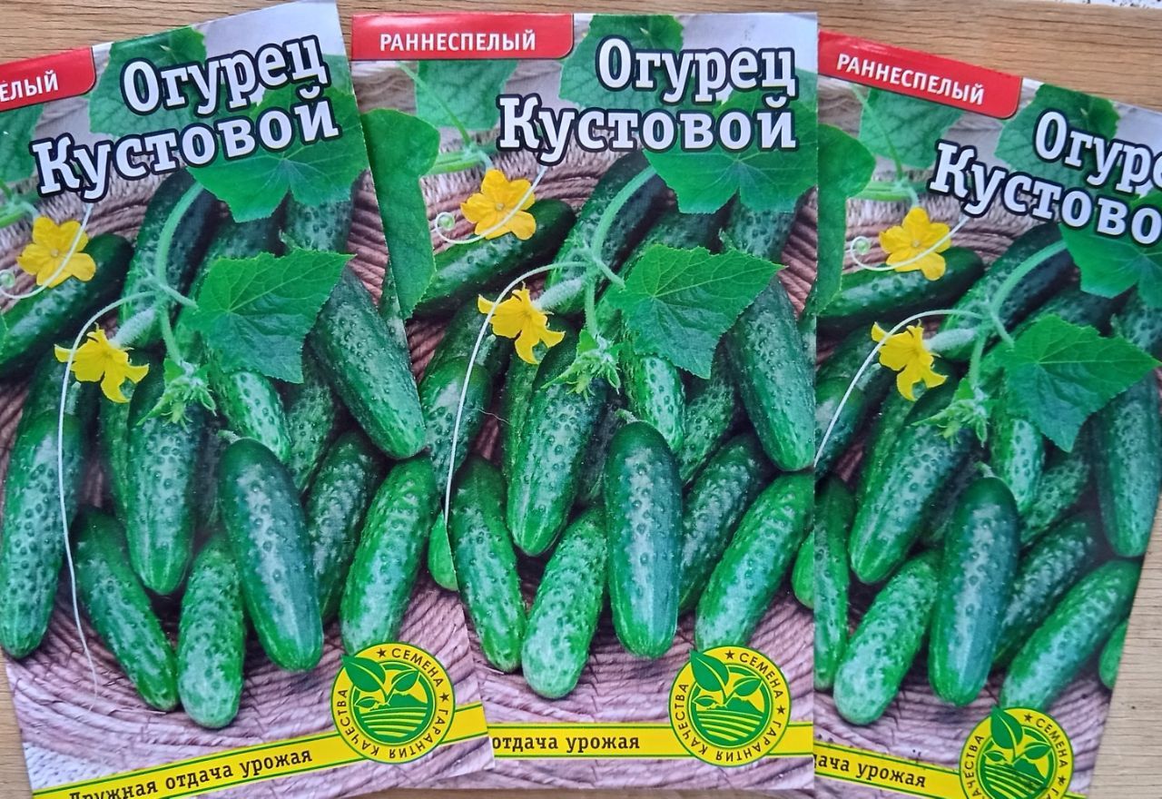 Купить Семена Огурцов Кустовой