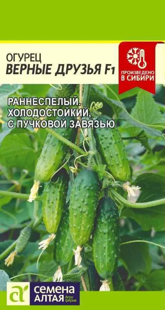 Семена Алтая Купить В Розницу