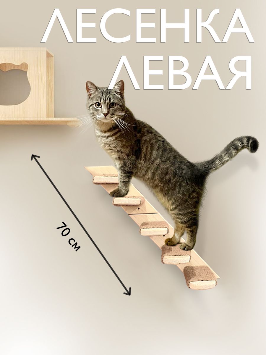 Когтеточка лестница настенная для кошки, настенный комплекс, левая - купить  с доставкой по выгодным ценам в интернет-магазине OZON (1597159369)