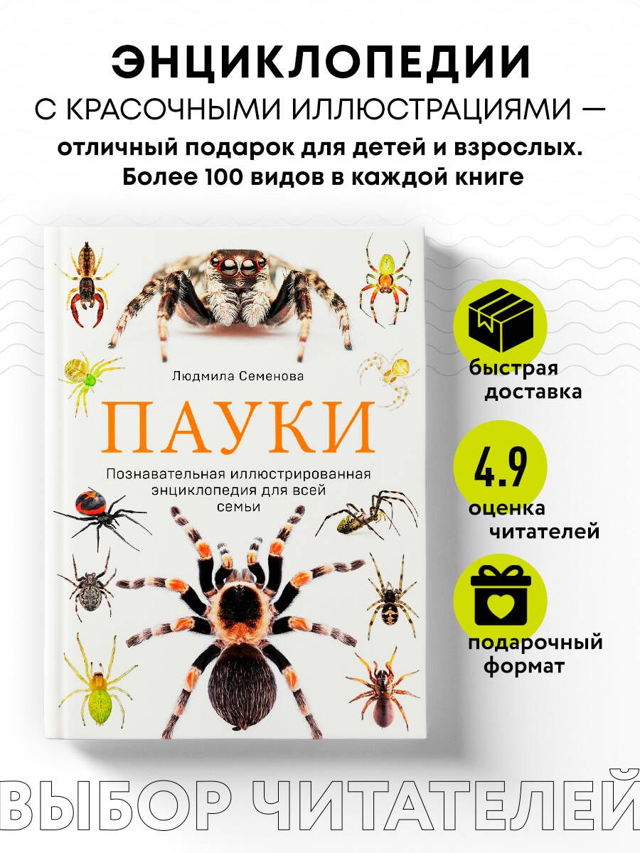 Пауки. Познавательная иллюстрированная энциклопедия для всей семьи |  Семенова Людмила Семеновна