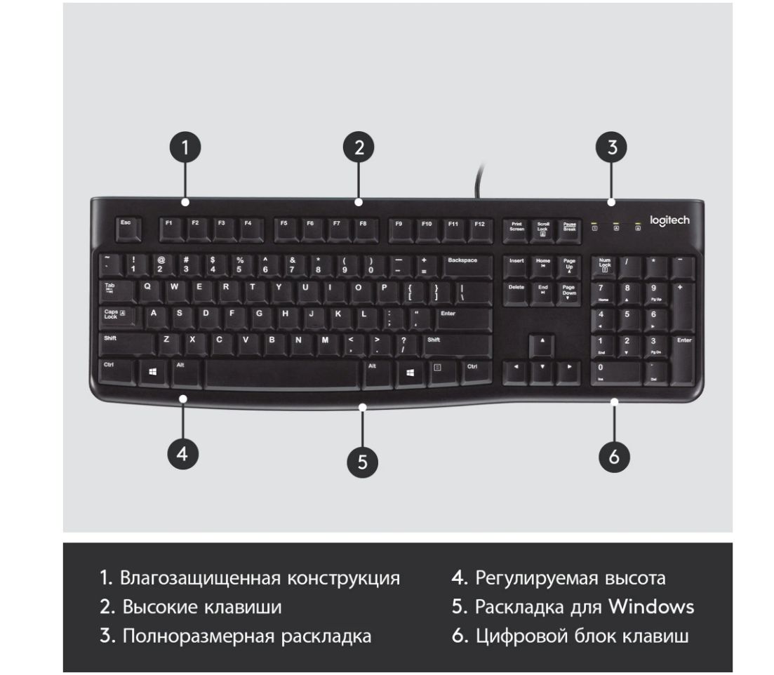 Клавиатура Logitech K120 for Business черный (920-002522)