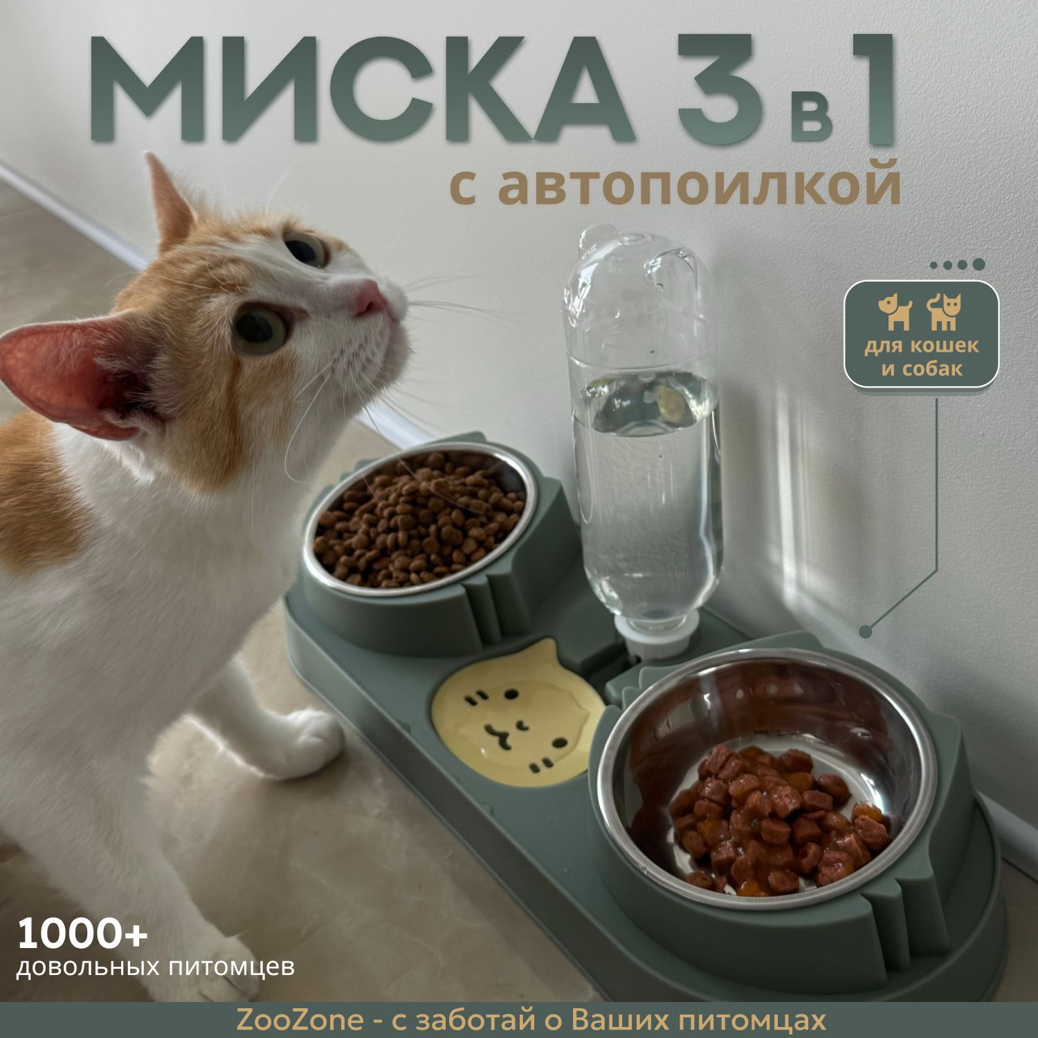 Мискадлякошекисобак