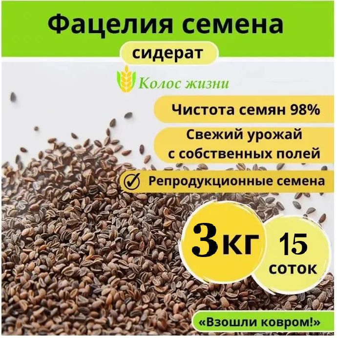 Семена Фацелия 3 кг .Сидерат