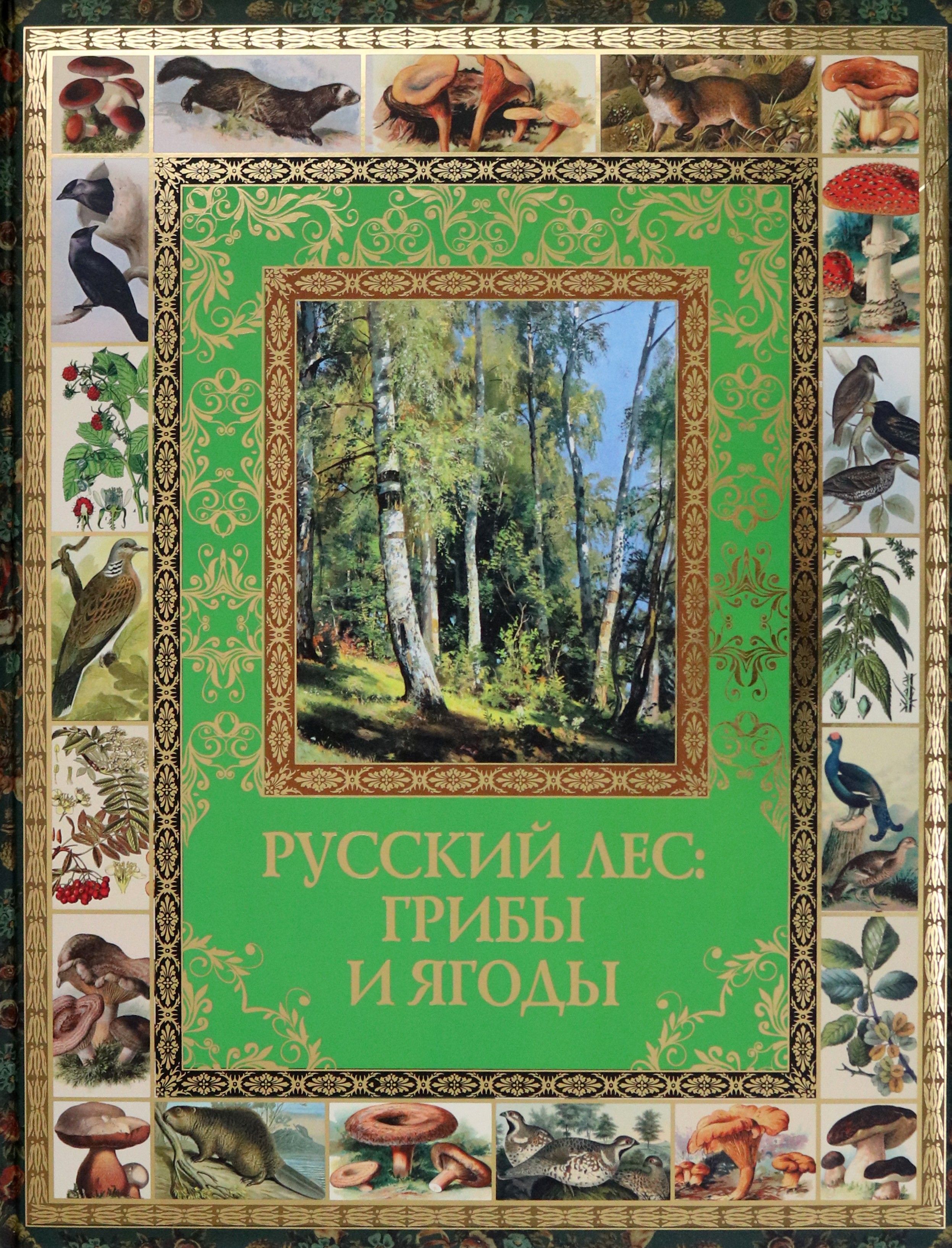 Лес грибы и лесные ягоды. Русский лес грибы и ягоды книга Бутромеев. Русский лес Автор книги. Книга о грибах и ягодах.