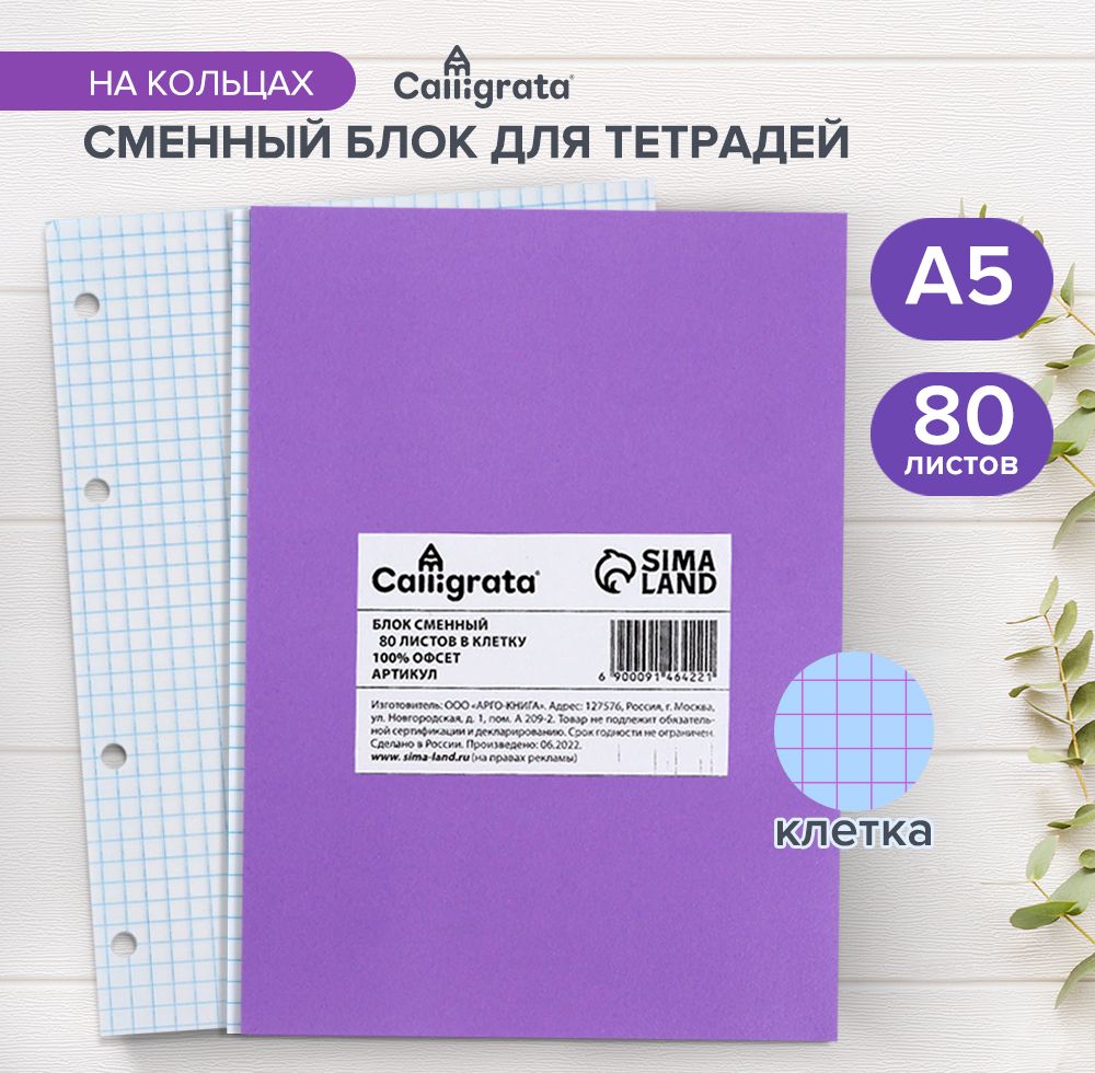 Сменный блок для тетради на кольцах, А5, 80 листов, Calligrata, офсет №1 60 гр/м2, белизна 100%